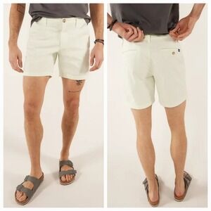 Chubbies NEW Men's 34‎ The Sea Foam Green 5.5" Flat Front Stretch Twill Shorts